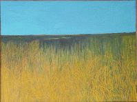 IMAGE #32 -  Grassy Field -  36X40    Acrylic   $1000.00