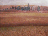 IMAGE #37  -  Fields & Forest  24X30  Oils   $800.00
